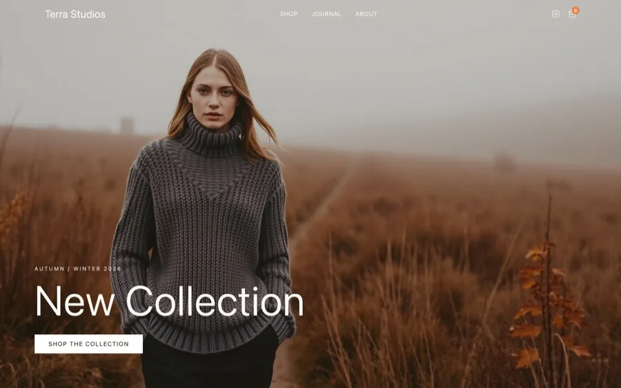 Terra Studios, running on WordPress after the conversion
